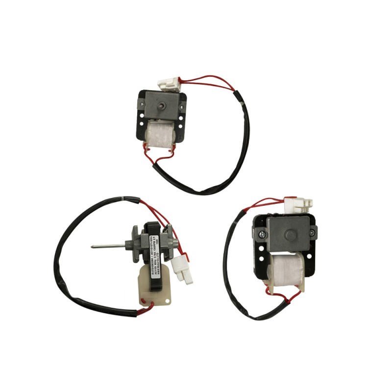 MOTOR ESQUELETO