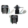 MOTOR ESQUELETO W.W.